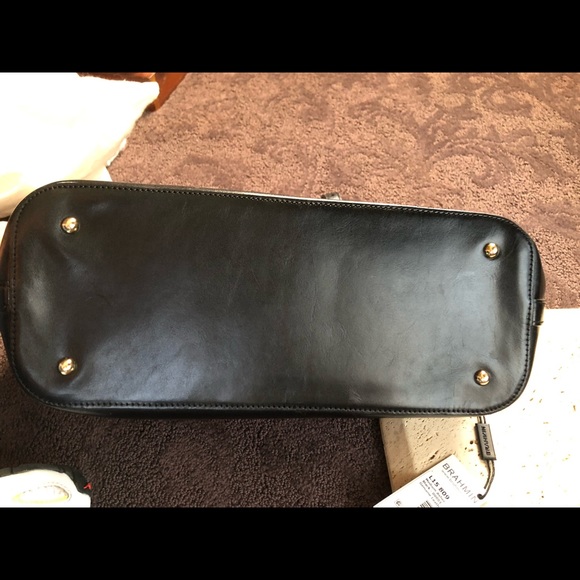 Brahmin med Asher - Picture 7 of 7